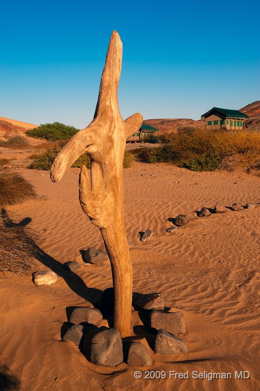 20090606_081304 D3 X1.jpg - Skeleton Coast Camp